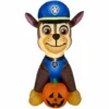 Gemmy Airblown Inflatable Paw Patrol Chase with Pumpkin, Self-Inflates, G-72189 1 Gemmy Airblown Inflatable Paw Patrol Chase with Pumpkin, Self-Inflates, G-72189 -Gemmy Sale Store 1445696