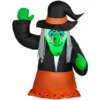 Gemmy Car Buddy Air-Blown Witch Inflatable, Self-Inflates, 12V Plug-in-Adaptor, G-225142 -Gemmy Sale Store 1547630